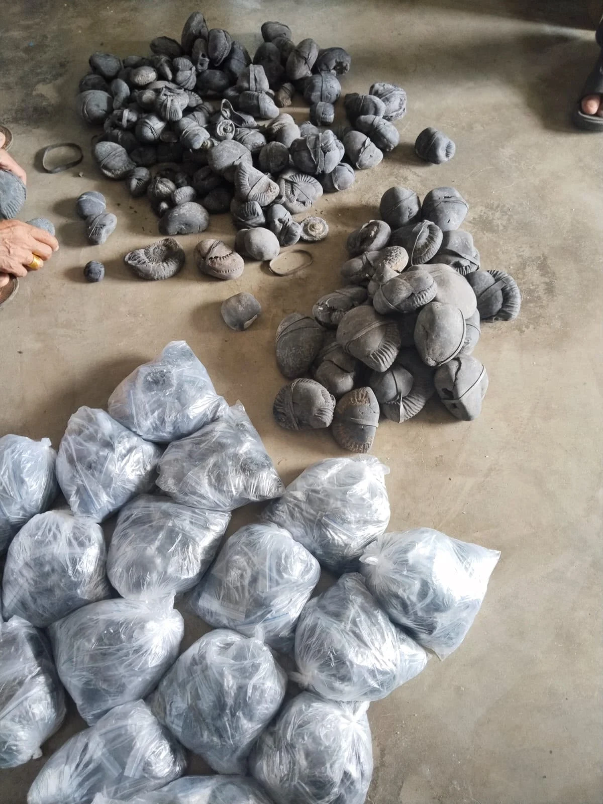 नवलपुर प्रहरीद्वारा अबैध सालिग्राम नियन्त्रणमा WhatsApp Image 2026 07 24 at 16.11.37 1