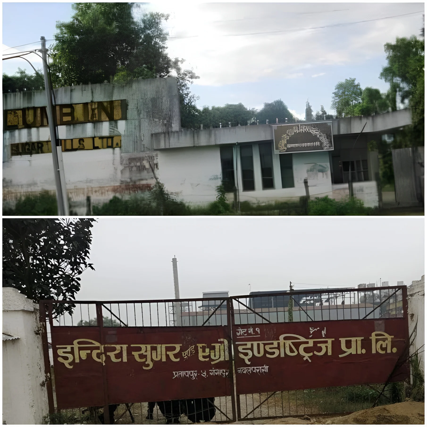 सडकदेखि सदनसम्म उखु किसानका पीडा : उखुको उर्वर भूमिमा किसानको पसिनाको मूल्य बेपत्ता 1579701540lumbini indira sugar millls Picsart AiImageEnhancer